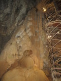 IMG_1031.JPG
