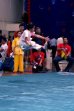 IMG_8460.JPG