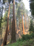 IMG_1470.JPG