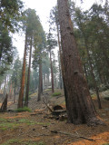 IMG_1543.JPG