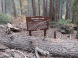 IMG_1557.JPG