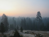 IMG_1489.JPG