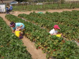 DSCN8935.JPG