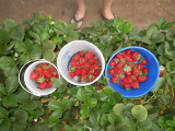 DSCN8938.JPG