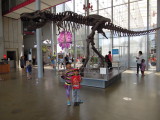 DSCN9230.JPG