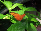 DSCN9260.JPG