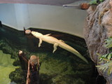 DSCN9278.JPG