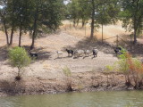 DSCN9704.JPG