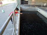 DSCN9789.JPG