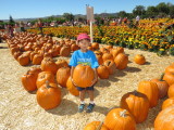 IMG_1685.JPG