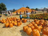 IMG_1689.JPG