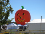 IMG_1724.JPG