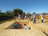IMG_1755.JPG
