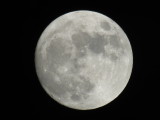 IMG_2345.JPG