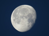 IMG_2527cn.JPG