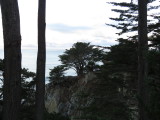 IMG_2529.JPG
