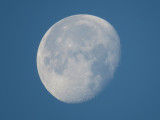 IMG_2539cn.JPG