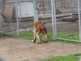 IMG_2605.JPG