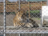IMG_2663.JPG