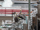 IMG_2810.JPG