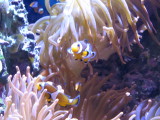 IMG_2866.JPG