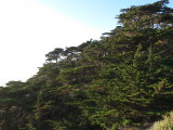 IMG_2905.JPG