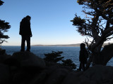 IMG_2943cn.JPG