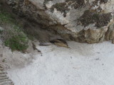 IMG_2956.JPG