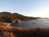 IMG_2971.JPG