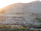 IMG_2975.JPG