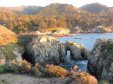 IMG_2981.JPG