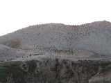 IMG_3026.JPG