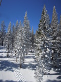 DSCN0117.JPG