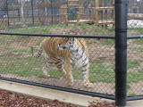 IMG_2690.JPG