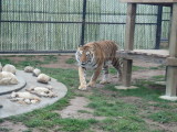 IMG_2702.JPG