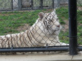 IMG_2711.JPG
