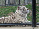 IMG_2712.JPG