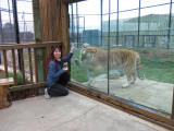 IMG_2726cn.JPG