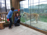 IMG_2729cn.JPG