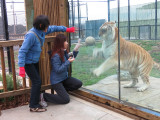 IMG_2731cn.JPG