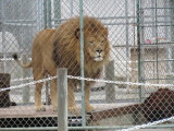 IMG_2776.JPG
