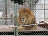 IMG_2779.JPG