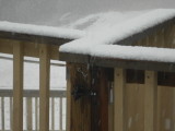 back room and snow 010.JPG