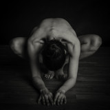 2014 AOTS Steinauer Entry 2c - ds20130214-0398(Nude).jpg
