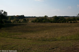ds20090906-0092 w Steinauer Family Reunion.jpg