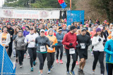 ds20141127-0138 w.jpg