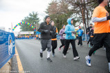 ds20141127-0187 w.jpg