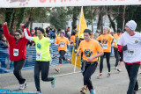 ds20141127-0633 w.jpg