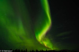 ds20160307-0038 w.jpg