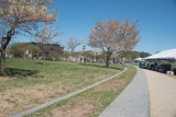 ds20160401-0062 CUCB().jpg